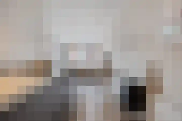 Sterreschans 125 Oegstgeest thumbnail 16