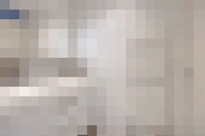 Sterreschans 125 Oegstgeest thumbnail 20