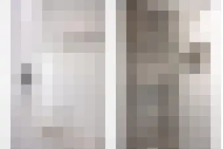 Sterreschans 125 Oegstgeest thumbnail 21