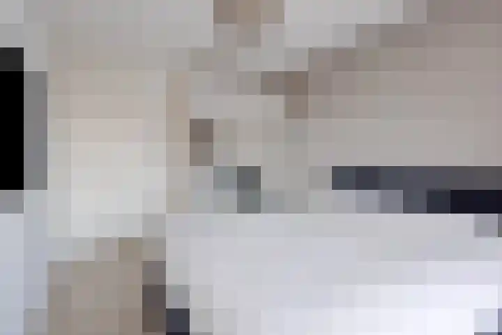 Sterreschans 125 Oegstgeest thumbnail 23