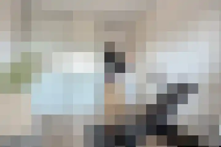 Sterreschans 125 Oegstgeest thumbnail 26