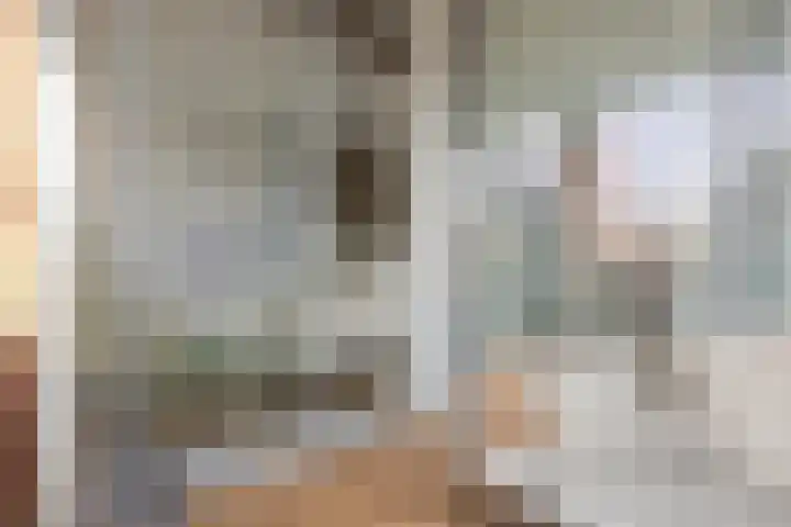Sterreschans 125 Oegstgeest thumbnail 31