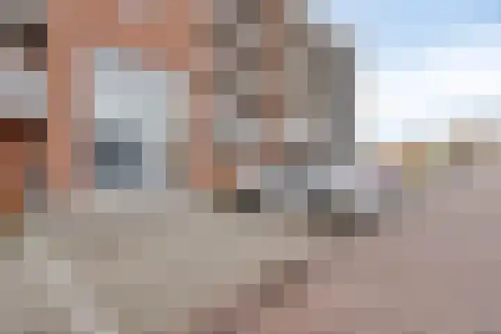 Sterreschans 125 Oegstgeest thumbnail 33