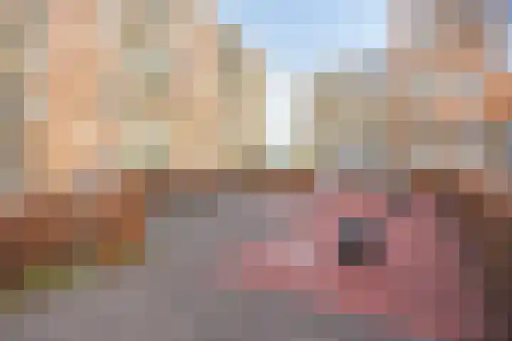 Sterreschans 125 Oegstgeest thumbnail 35