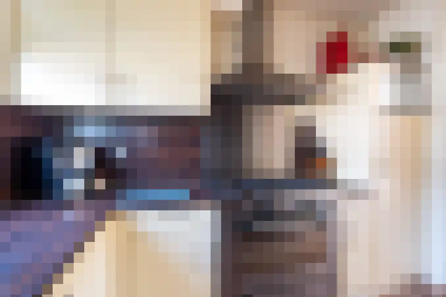 Sterreschans 13 Prinsenbeek thumbnail 16
