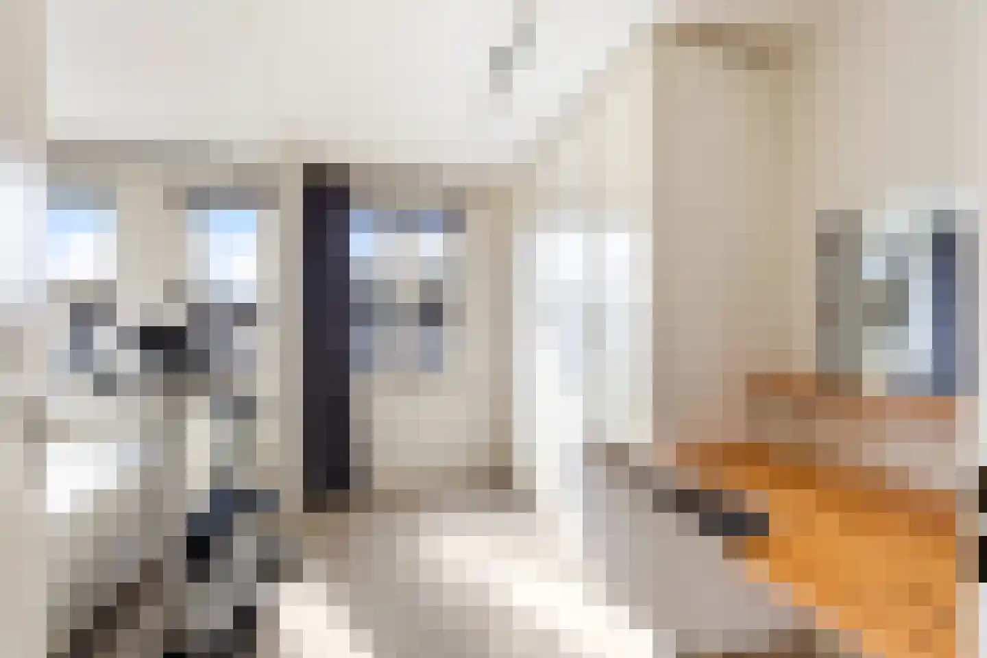 Sterreschans 13 Prinsenbeek thumbnail 22