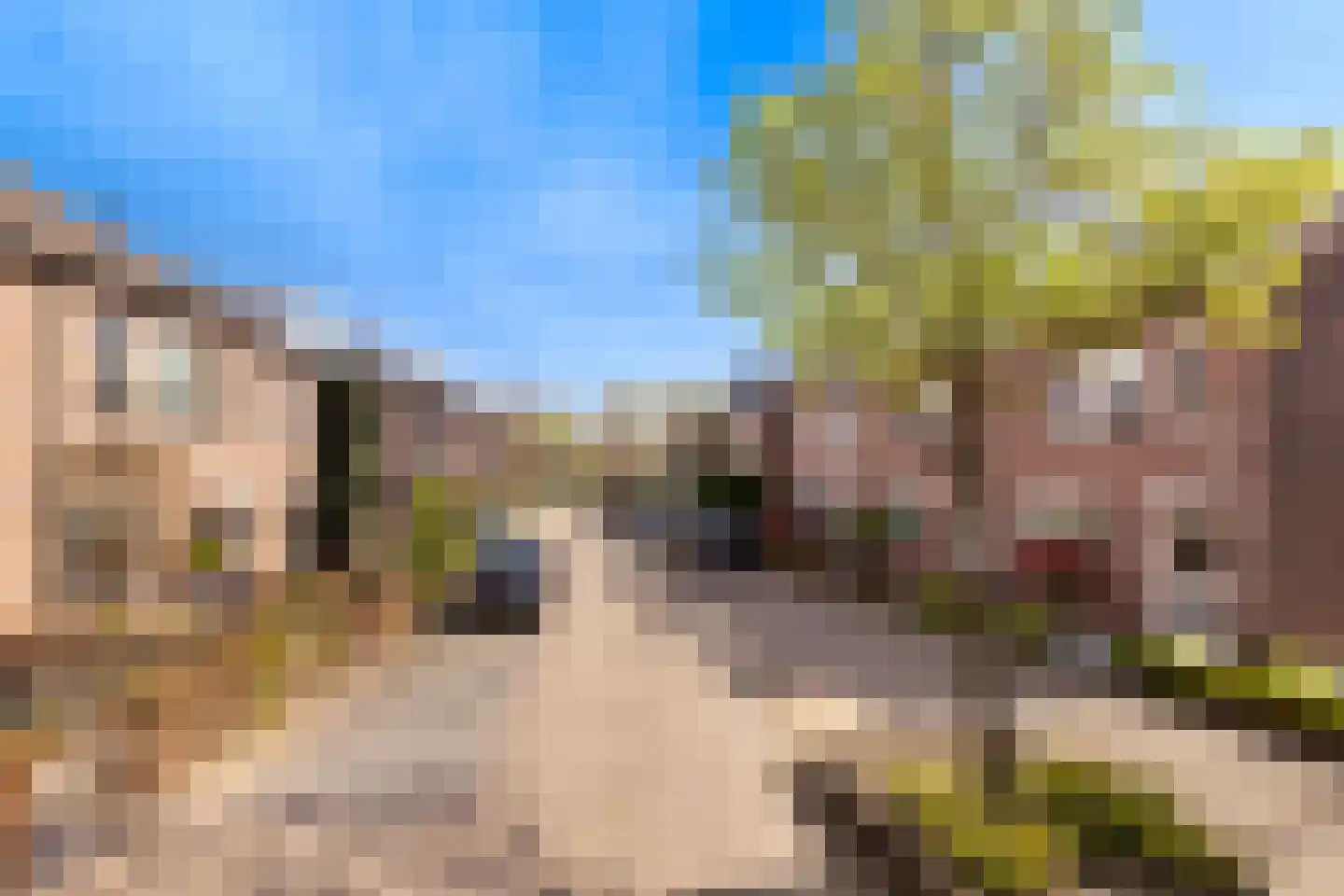 Sterreschans 13 Prinsenbeek thumbnail 37