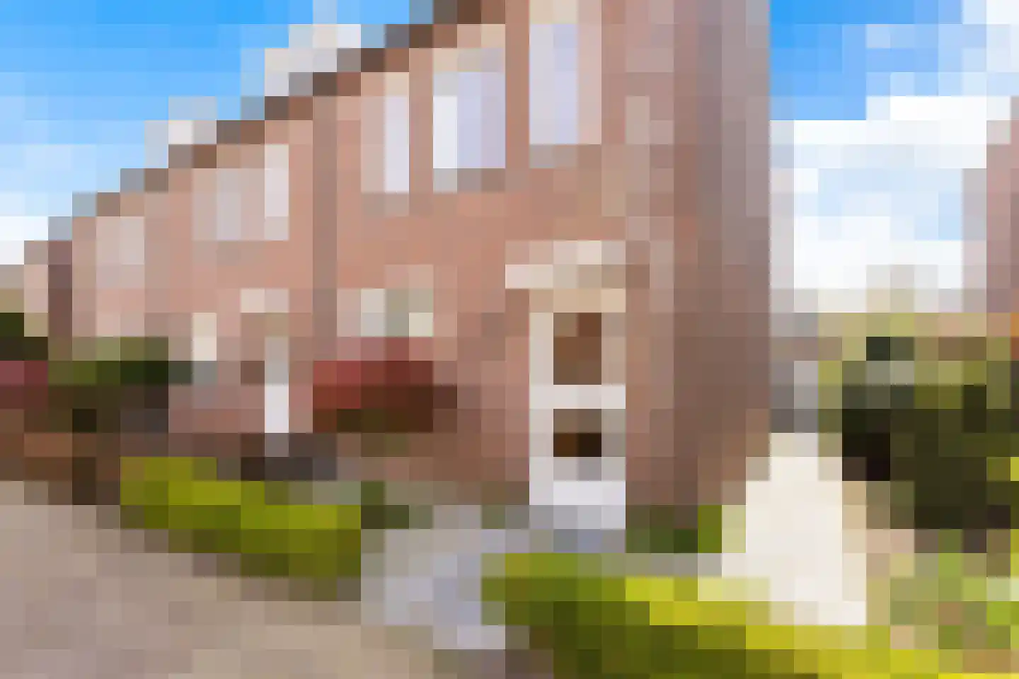 Sterreschans 13 Prinsenbeek thumbnail 7