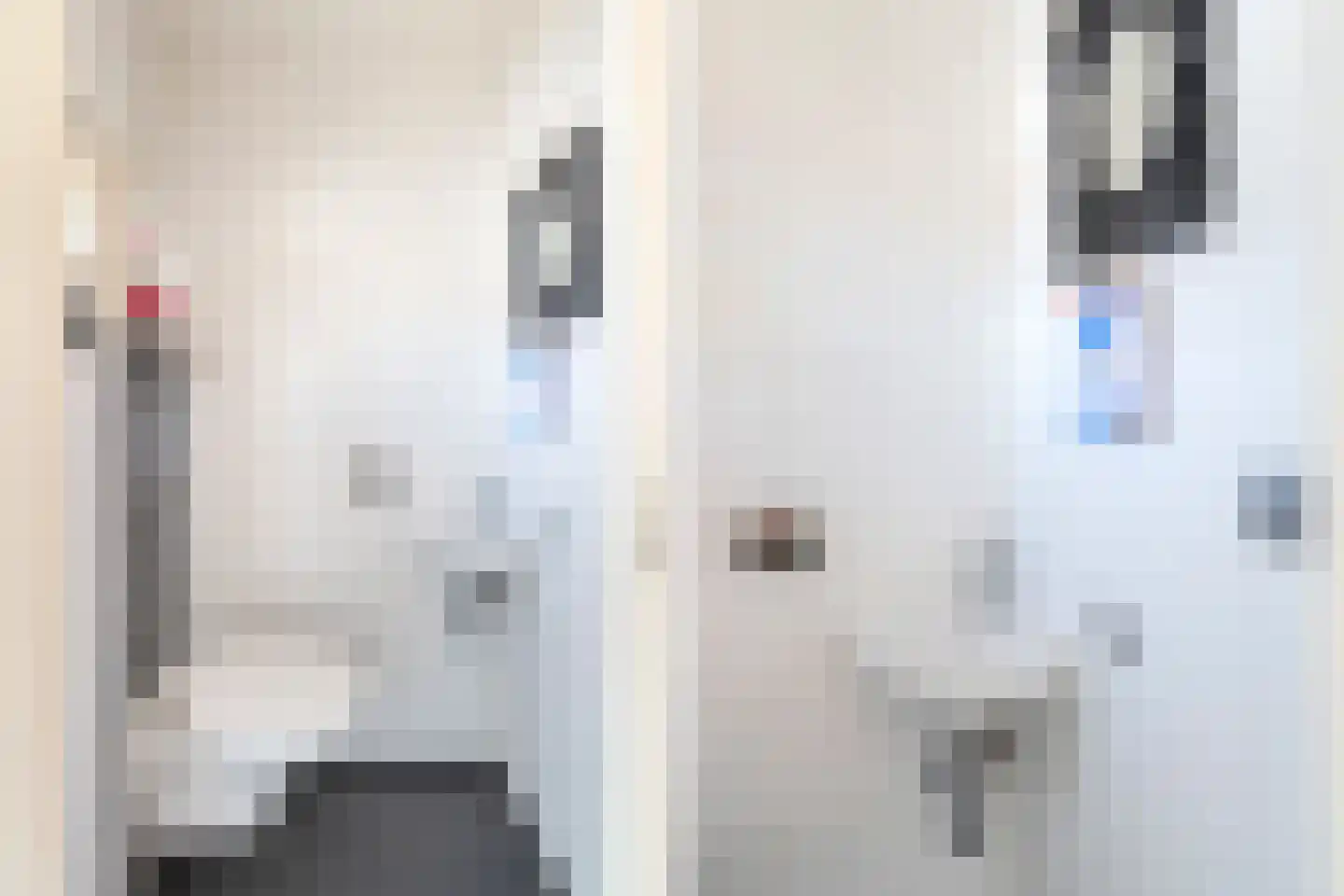 Sterreschans 13 Prinsenbeek thumbnail 9
