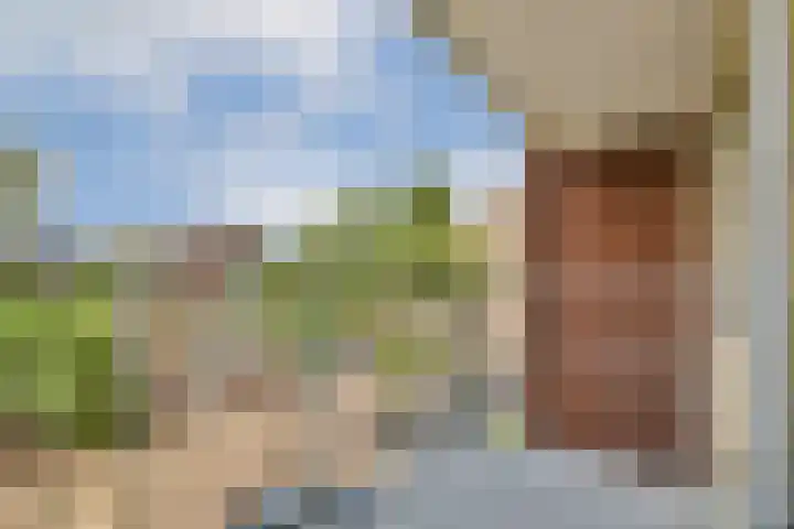 Sterreschans 143 Oegstgeest thumbnail 11