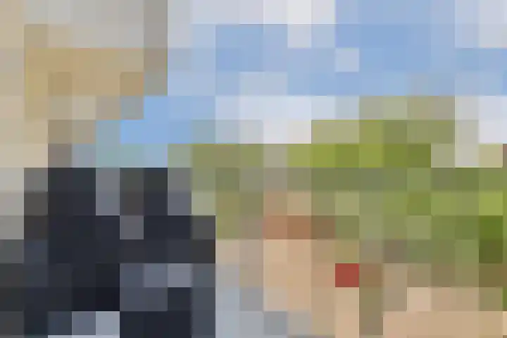 Sterreschans 143 Oegstgeest thumbnail 12