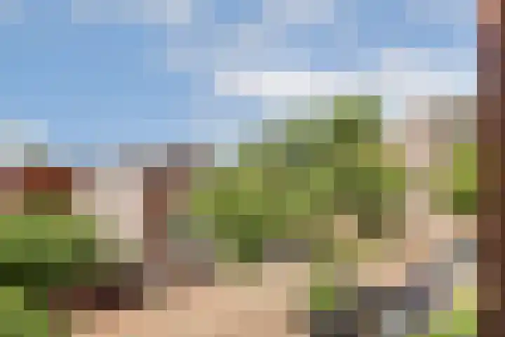 Sterreschans 143 Oegstgeest thumbnail 13