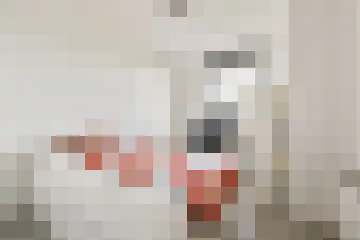 Sterreschans 143 Oegstgeest thumbnail 15