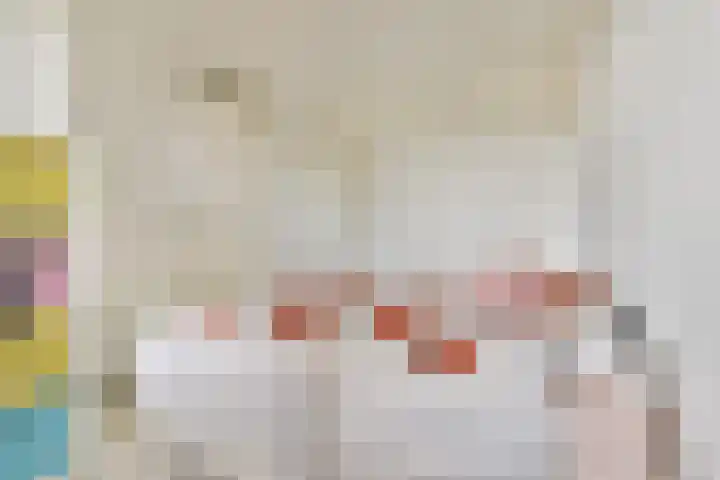 Sterreschans 143 Oegstgeest thumbnail 16