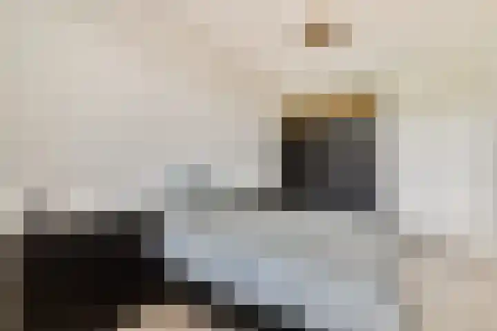 Sterreschans 143 Oegstgeest thumbnail 20