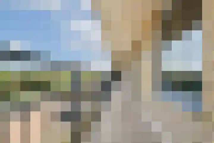 Sterreschans 143 Oegstgeest thumbnail 21