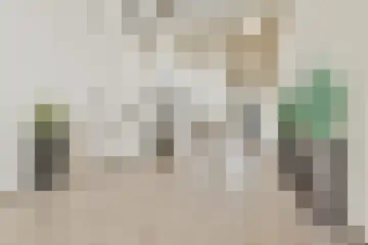 Sterreschans 143 Oegstgeest thumbnail 22