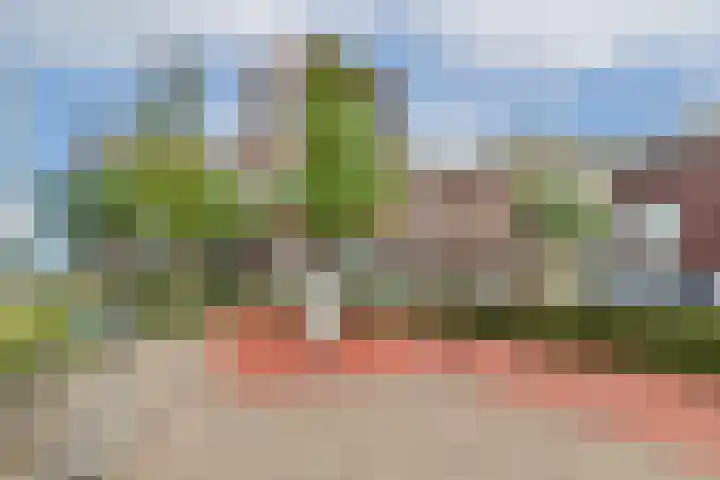 Sterreschans 143 Oegstgeest thumbnail 24