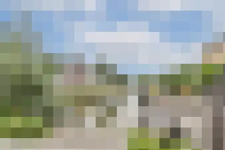 Sterreschans 143 Oegstgeest thumbnail 25