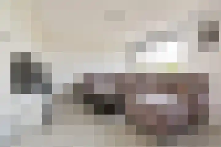 Sterreschans 143 Oegstgeest thumbnail 6
