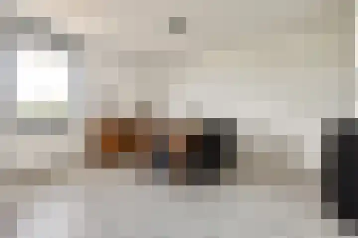 Sterreschans 143 Oegstgeest thumbnail 8