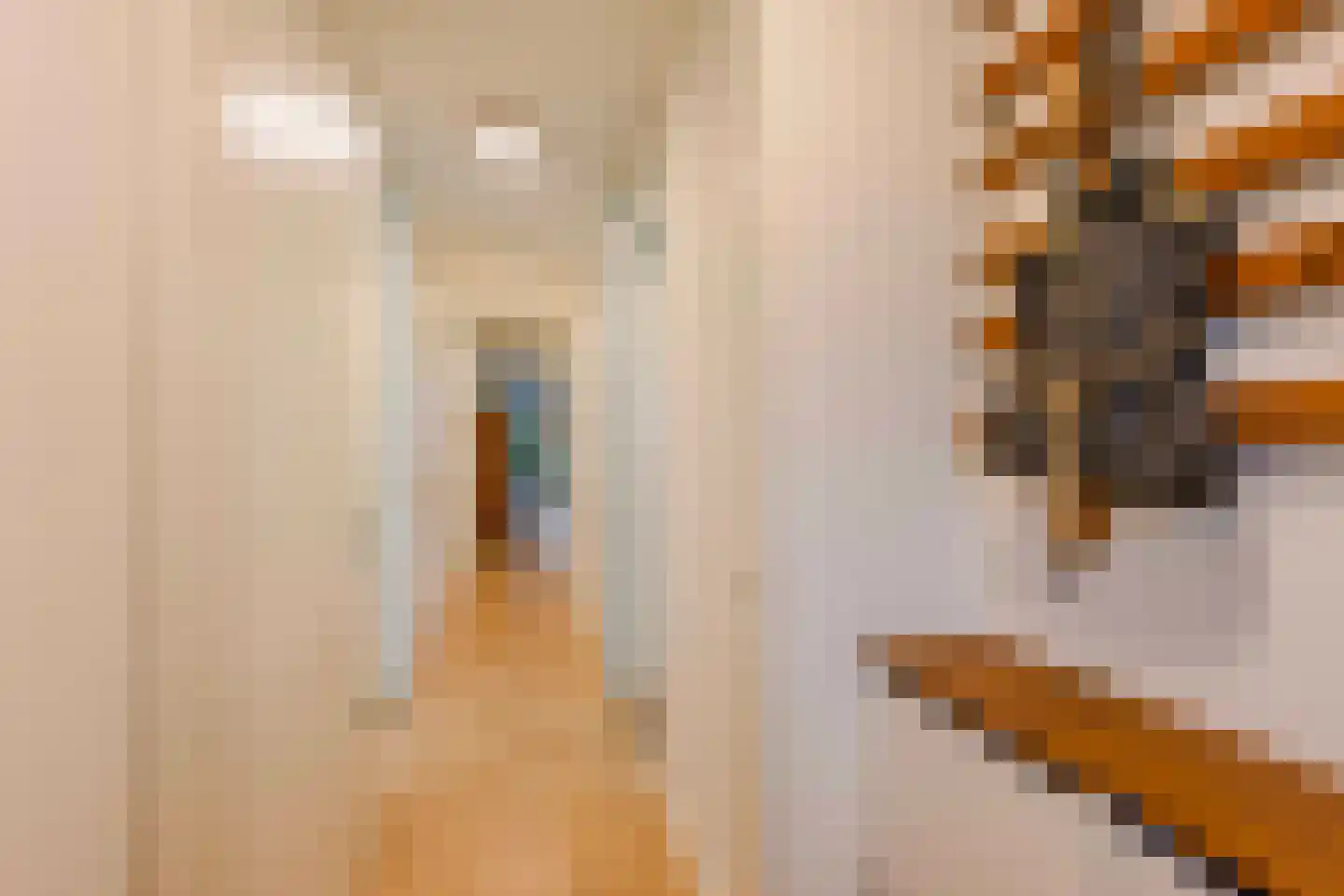Sterreschans 155 Oegstgeest thumbnail 11