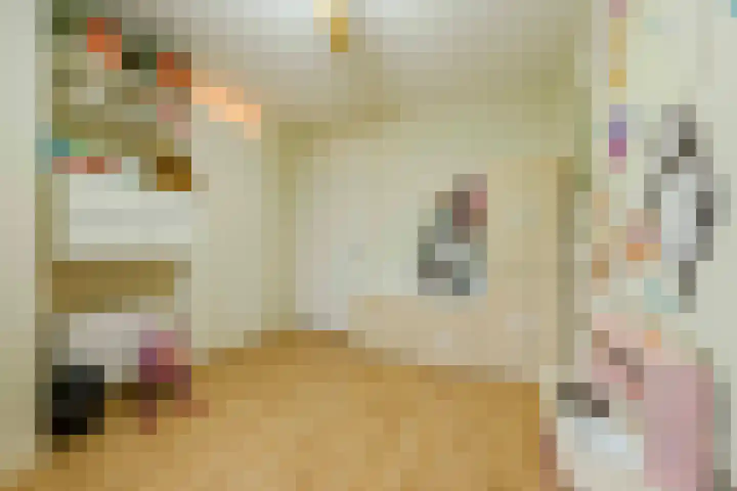 Sterreschans 155 Oegstgeest thumbnail 19