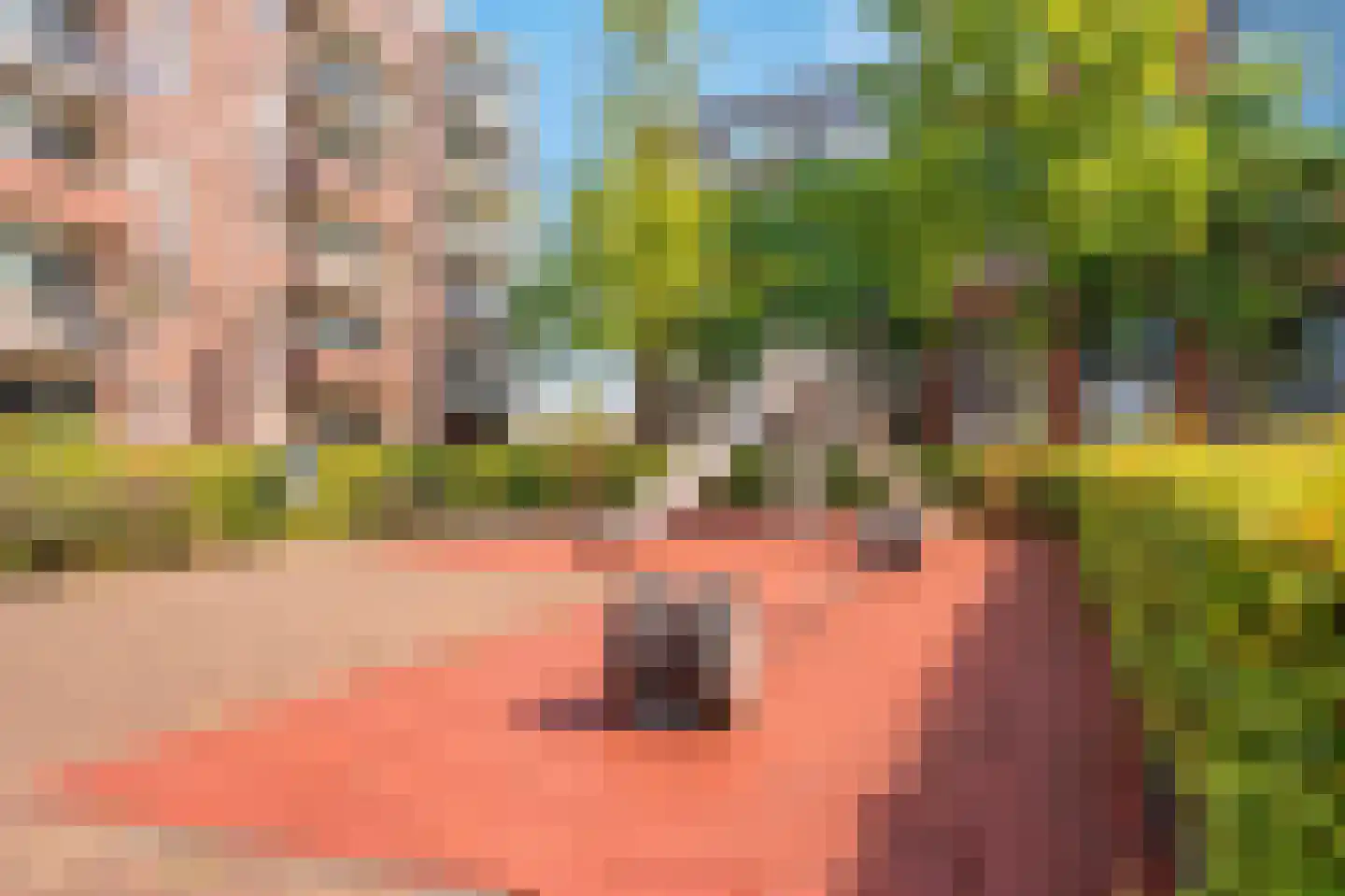 Sterreschans 155 Oegstgeest thumbnail 33