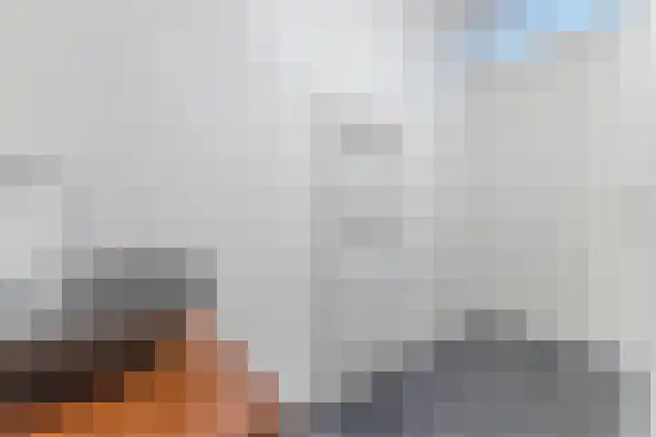 Sterreschans 159 Oegstgeest thumbnail 37