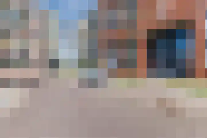 Sterreschans 159 Oegstgeest thumbnail 4