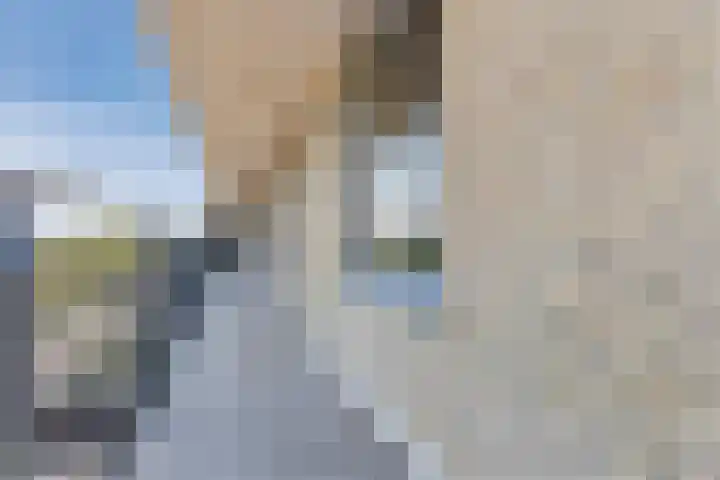 Sterreschans 159 Oegstgeest thumbnail 7