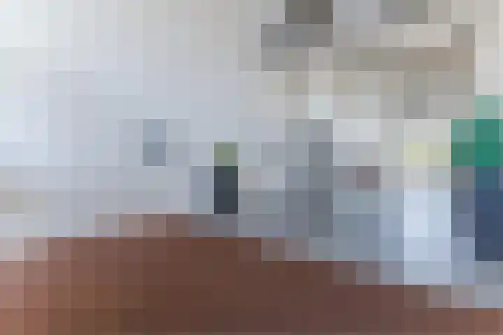 Sterreschans 159 Oegstgeest thumbnail 8