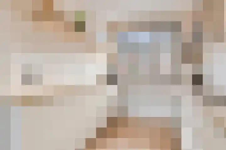Sterreschans 18 Prinsenbeek thumbnail 13