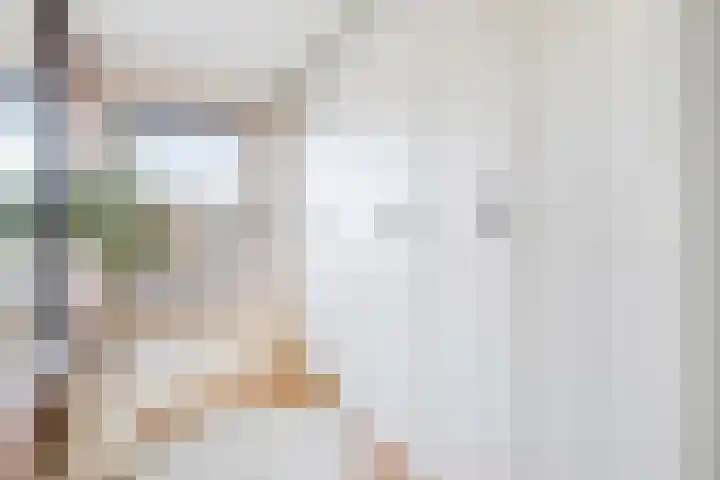 Sterreschans 18 Prinsenbeek thumbnail 19