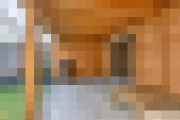 Sterreschans 18 Prinsenbeek thumbnail 25
