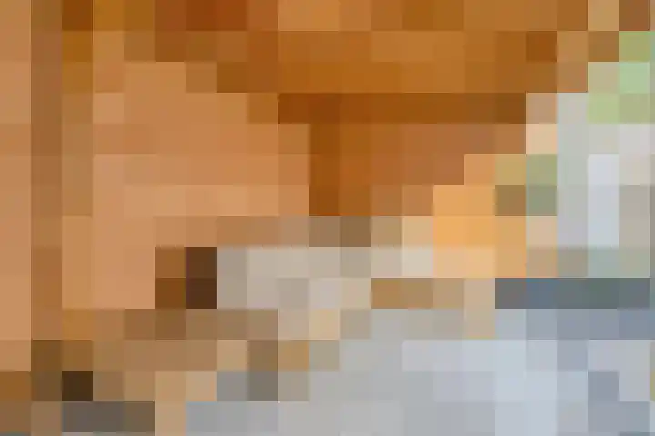 Sterreschans 18 Prinsenbeek thumbnail 26