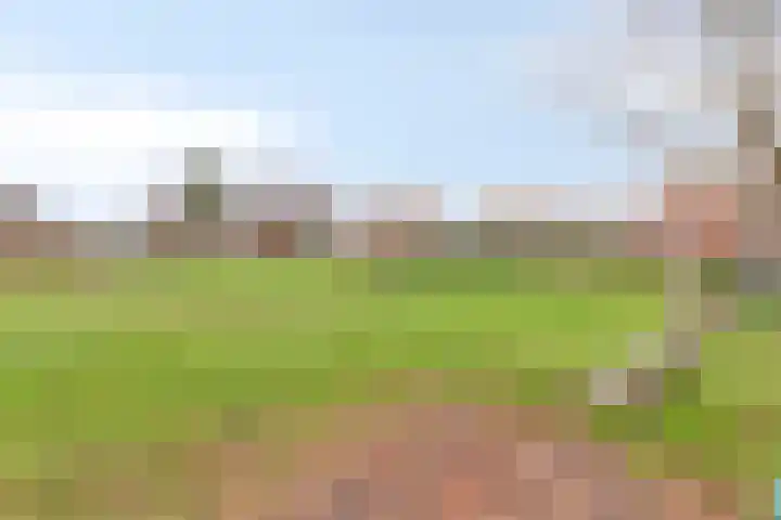 Sterreschans 18 Prinsenbeek thumbnail 35