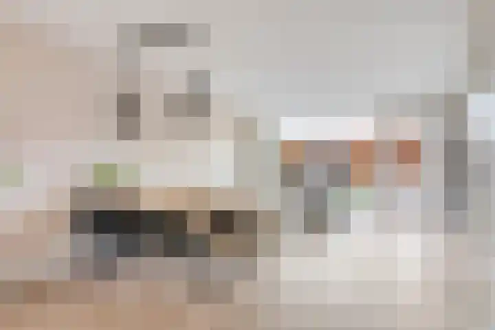 Sterreschans 18 Prinsenbeek thumbnail 7