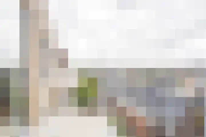 Sterreschans 183 Oegstgeest thumbnail 11