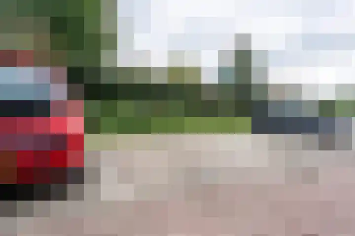 Sterreschans 183 Oegstgeest thumbnail 22