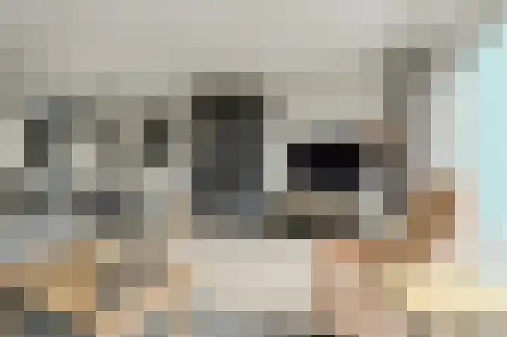 Sterreschans 3 Prinsenbeek thumbnail 12