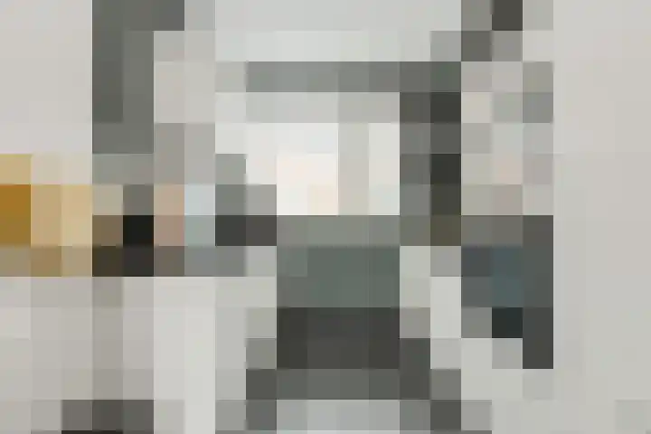 Sterreschans 3 Prinsenbeek thumbnail 15
