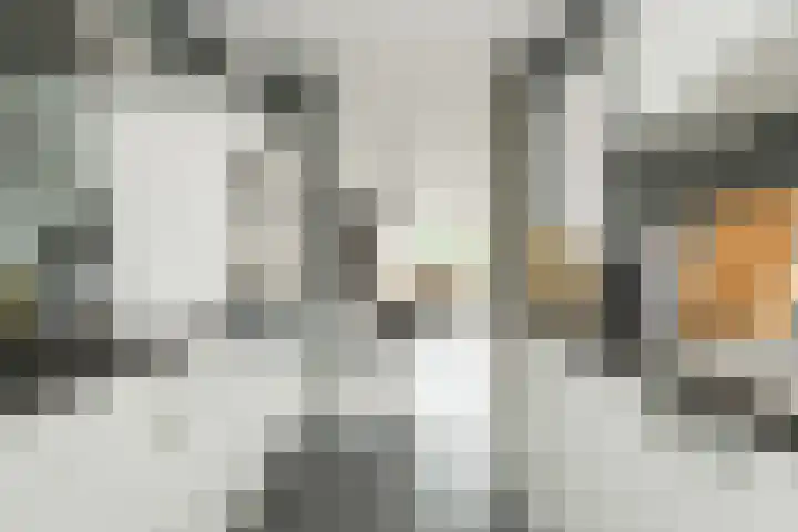 Sterreschans 3 Prinsenbeek thumbnail 18