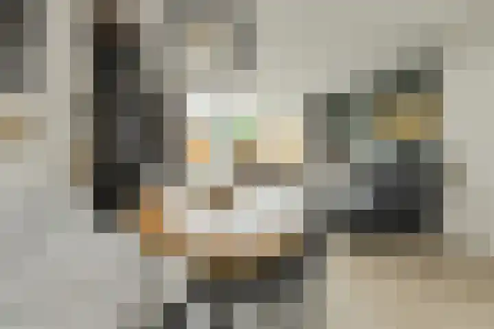 Sterreschans 3 Prinsenbeek thumbnail 20