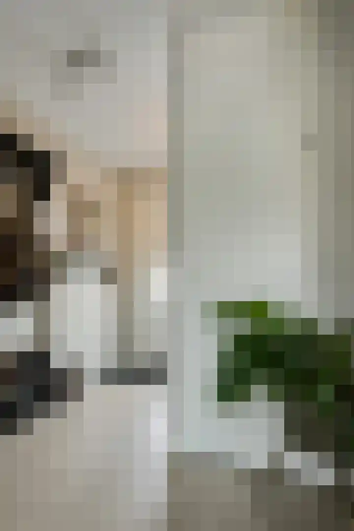 Sterreschans 3 Prinsenbeek thumbnail 22