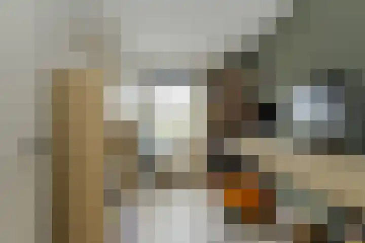 Sterreschans 3 Prinsenbeek thumbnail 35