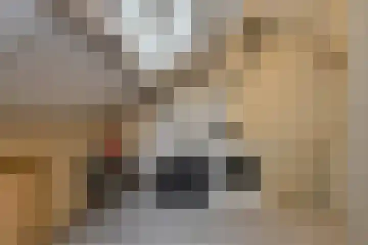 Sterreschans 3 Prinsenbeek thumbnail 41