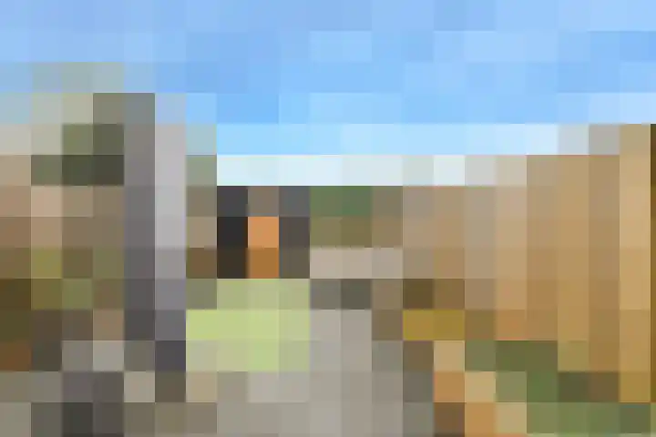 Sterreschans 3 Prinsenbeek thumbnail 43
