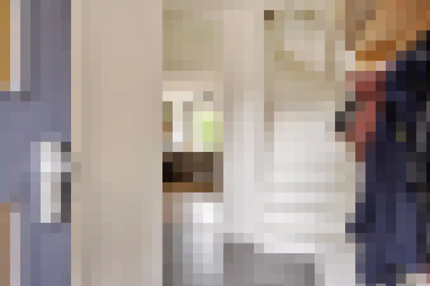 Sterreschans 35 Prinsenbeek thumbnail 14