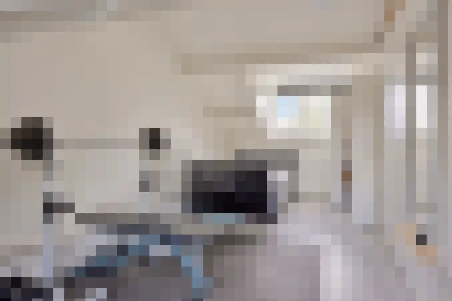 Sterreschans 35 Prinsenbeek thumbnail 28